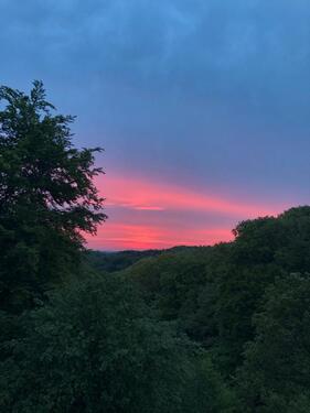 Foto - 5 Zimmer Einfamilienhaus zum Kaufen in Witten
