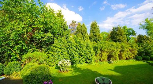 Foto - NEUER KP! - Erstklassiges 5 ZI- EINFAMILIENHAUS in ruhiger Lage- 5 Autominuten bis Zehlendorf!