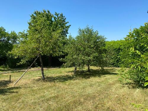 Foto - Etagenwohnung zur Miete in Buchen (Odenwald)