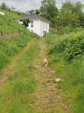 Foto - Einfamilienhaus zum Kaufen in Weiler bei Bingen