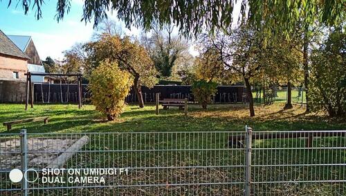 Foto - Einfamilienhaus in Coswig (Anhalt) zum Kaufen