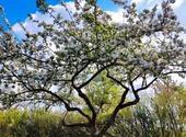 Foto - Privater Garten Grundstück zur Pacht