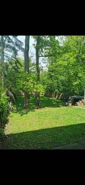 Foto - TRAUMWOHNUNG: 3-Zimmer mit RIESEN GARTEN