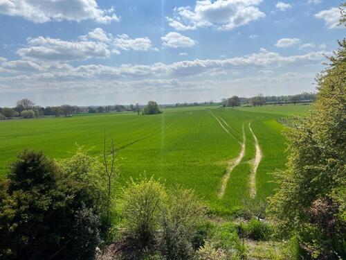 Foto - Einfamilienhaus in Berkenthin zum Kaufen