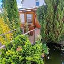 Foto - Einfamilienhaus in Laupheim zur Miete