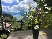 Foto - Berghütte mit sooo tollem Blick auf den Comer See - Villa Lupinia
