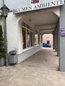 Foto - andere in Stein