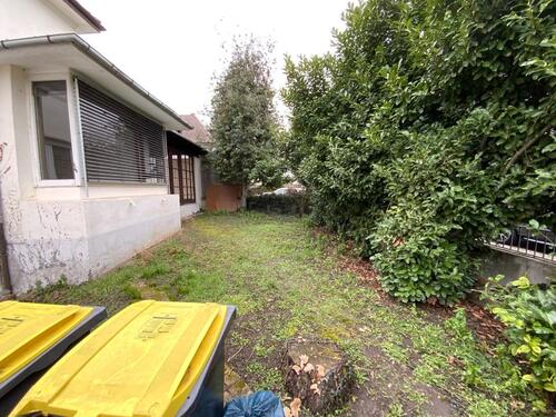 Foto - andere in Ludwigshafen am Rhein