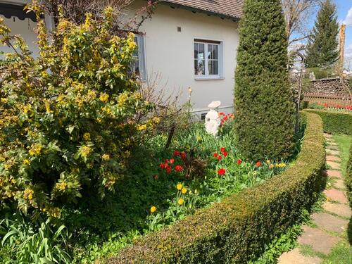 Foto - 6 Zimmer Einfamilienhaus zur Miete in Hollenbach