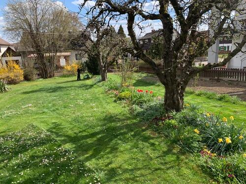 Foto - 6 Zimmer Einfamilienhaus in Hollenbach