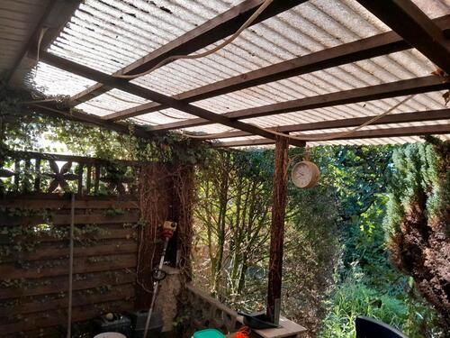 Foto - Pachtgarten in Magdeburg bei Burg