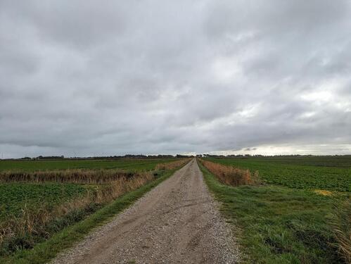 Foto - Grundst&uuml;ck zur Miete in Niebüll