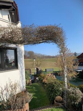 Foto - 6 Zimmer Doppelhaushälfte in Fürth