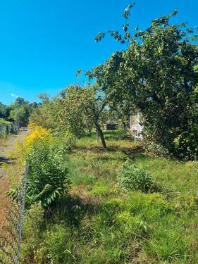 Foto - Kleingarten Kröllwitz - 250,00&nbsp;EUR Kaltmiete, ca.&nbsp; 0,00&nbsp;m&sup2;
