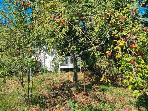Foto - Grundst&uuml;ck in Halle (Saale)