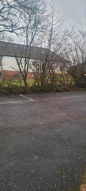 Foto - 4 Zimmer Erdgeschoßwohnung zur Miete in Bad Kreuznach