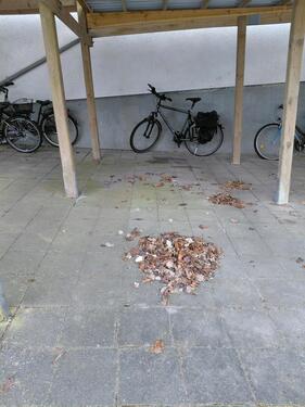 Foto - andere in Molfsee