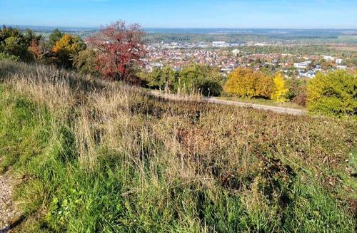 Foto - Garten in Metzingen Falkenberg Gütle Freizeit Grundstück