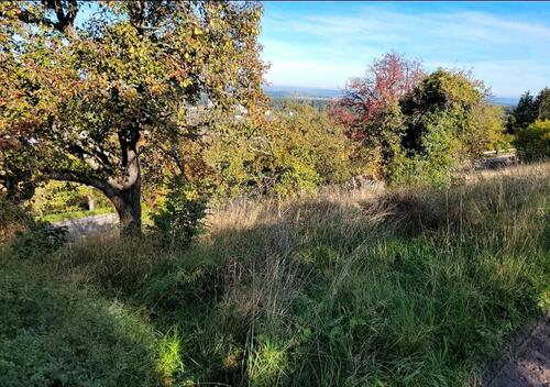 Foto - Grundst&uuml;ck zur Miete in Metzingen