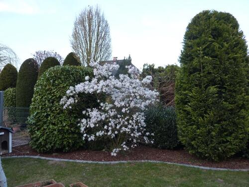 Foto - Terrassenwohnung in Alpen zum Kaufen