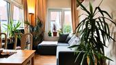 Foto - Wohnung tageweise zu vermieten - 39,00 EUR Kaltmiete,