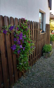 Foto - Einfamilienhaus in Datteln zum Kaufen