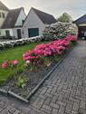 Foto - 4 Zimmer Doppelhaushälfte zur Miete in Brake (Unterweser)