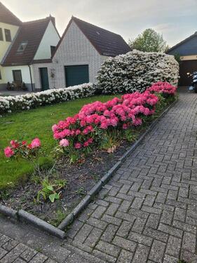 Foto - 4 Zimmer Doppelhaushälfte zur Miete in Brake (Unterweser)
