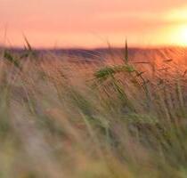 3-Zimmer-Wohnung im Ortsteil Passow - Schwedt (Oder)