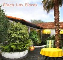 TENERIFFA: traumhaft kleine Finca Las Flores in Ortsrandlage - Hollern-Twielenfleth