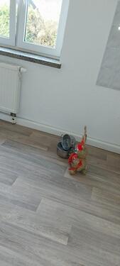 Foto - 