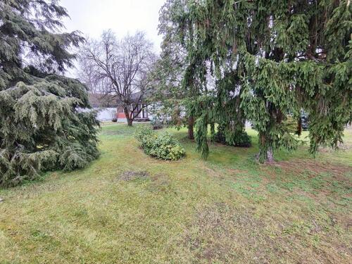 Foto - 4 Zimmer Einfamilienhaus in Eckental