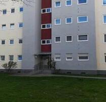 Wunderschöne 2,5-3 Zimmerwohnung mit Herkulesblick - Kassel Philippinenhof-Warteberg
