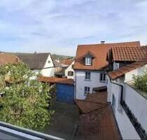 Vollmöblierte 1ZiWohnung für Studenten,Praktikanten,Berufsstarter - Bodenheim
