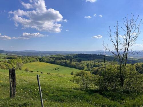 Foto - GRUNDSTÜCK ALLEINLAGE WALD QUELLE PFERDE WIESE