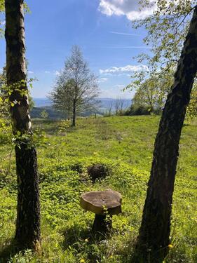 Foto - Grundst&uuml;ck zur Miete in Bad Salzungen