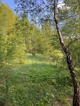 Foto - Grundst&uuml;ck in Bad Salzungen