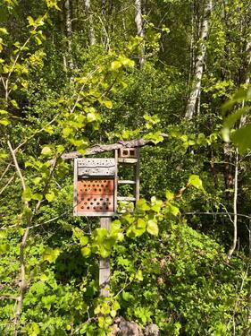 Foto - Grundst&uuml;ck in Bad Salzungen zur Miete