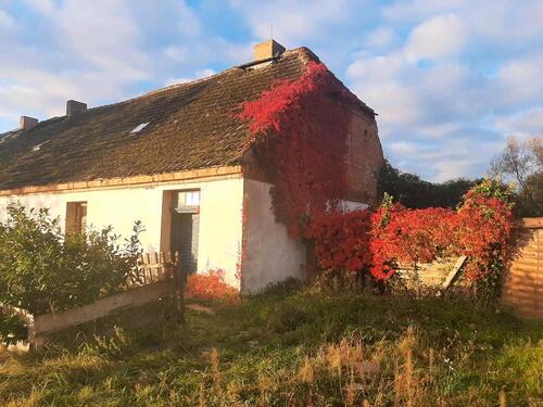 Foto - 4 Zimmer Einfamilienhaus in Spantekow