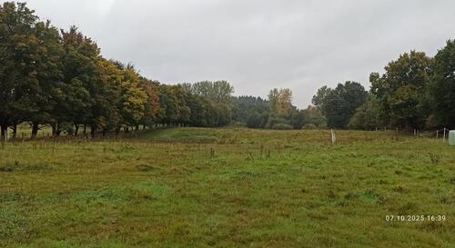 Foto - Koppel zu verpachten in Eckernförde