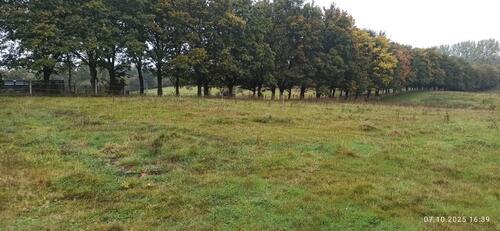 Foto - Grundstück zur Miete in Waabs