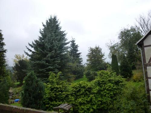 Foto - 4 Zimmer Etagenwohnung zur Miete in Chemnitz