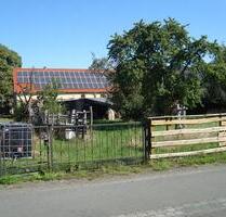 Biete großes Grundstück, Scheune mit großem Garten - Dommitzsch