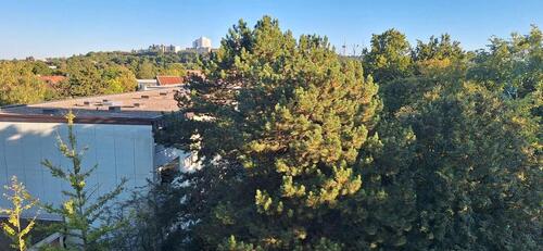 Foto - 2 Zimmer Etagenwohnung zum Kaufen in Nittendorf