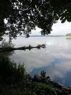 Foto - Auszeit am Tollensesee in Mecklenburg Vorpommern