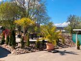 Foto - andere in Werder (Havel)