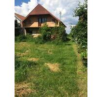 Haus in Serbien, Mramorak (Pančevo) 60km von Belgrad - Bad Oeynhausen Rehme