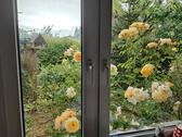 Foto - Einfamilienhaus in Karlsburg zum Kaufen