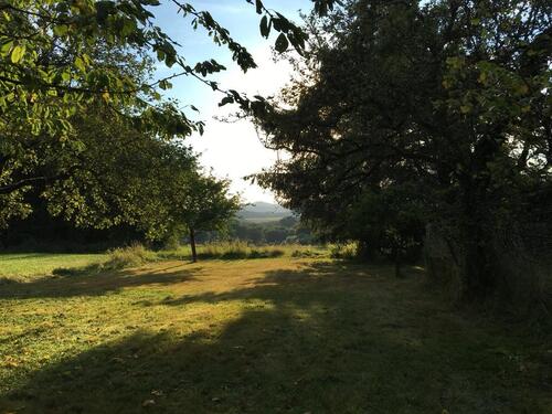Foto - 4 ZKB Wohnen Nähe st. Wendel f Naturliebhaber mit Traum-Ausblick