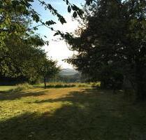 4 ZKB Wohnen Nähe st. Wendel f Naturliebhaber mit Traum-Ausblick - Namborn